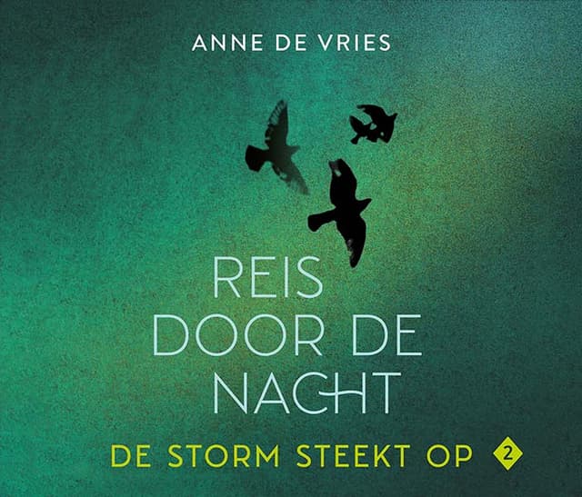 Boek op het Christelijke luisterboeken platform - De storm steekt op - Anne de Vries