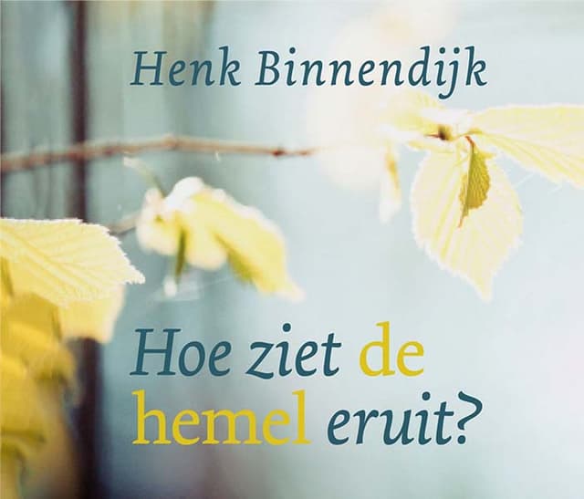 Boek op het Christelijke luisterboeken platform - Hoe ziet de hemel eruit - Henk Binnendijk